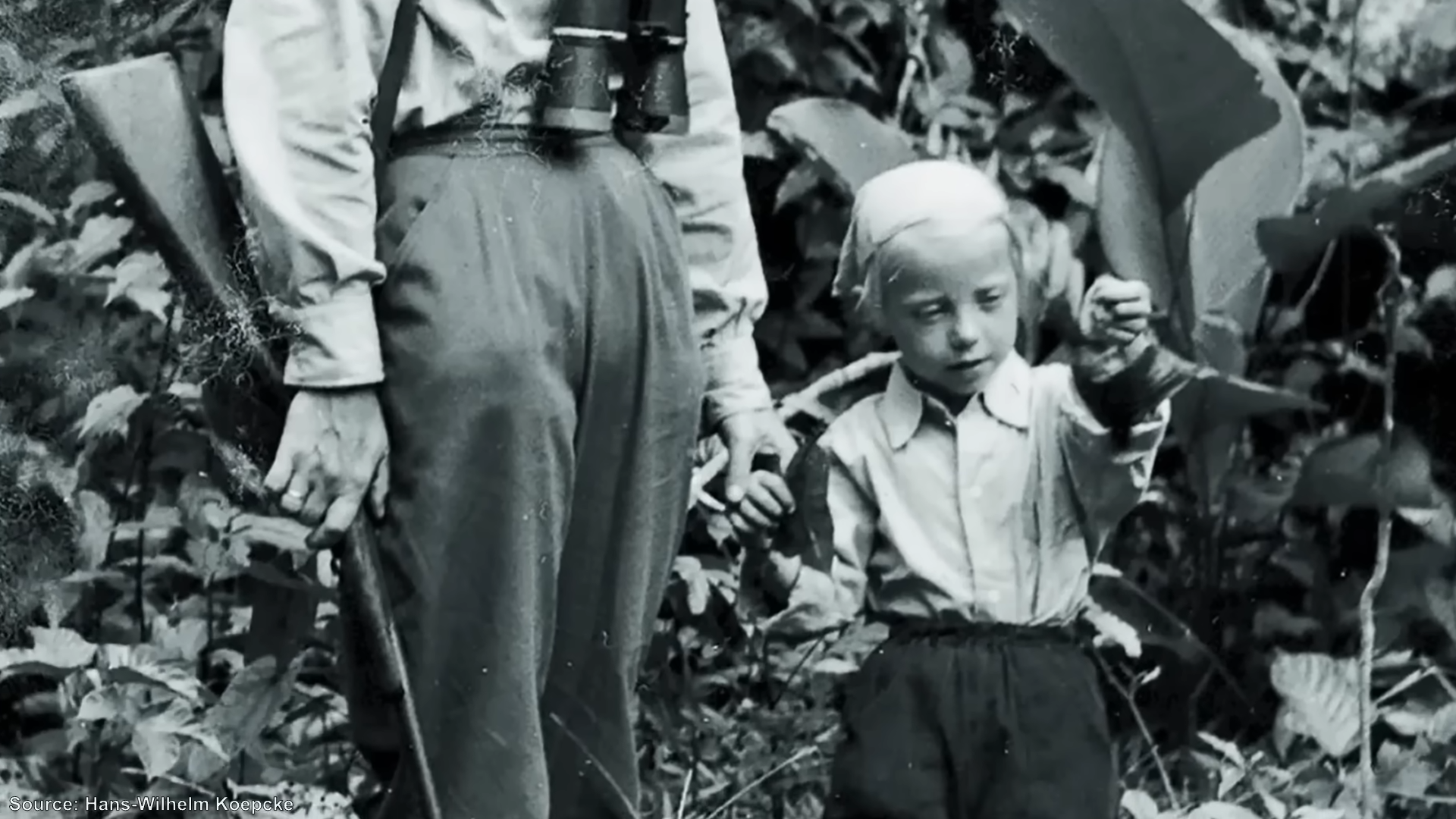 How one girl survived a plane crash and 10 days alone in the Amazon