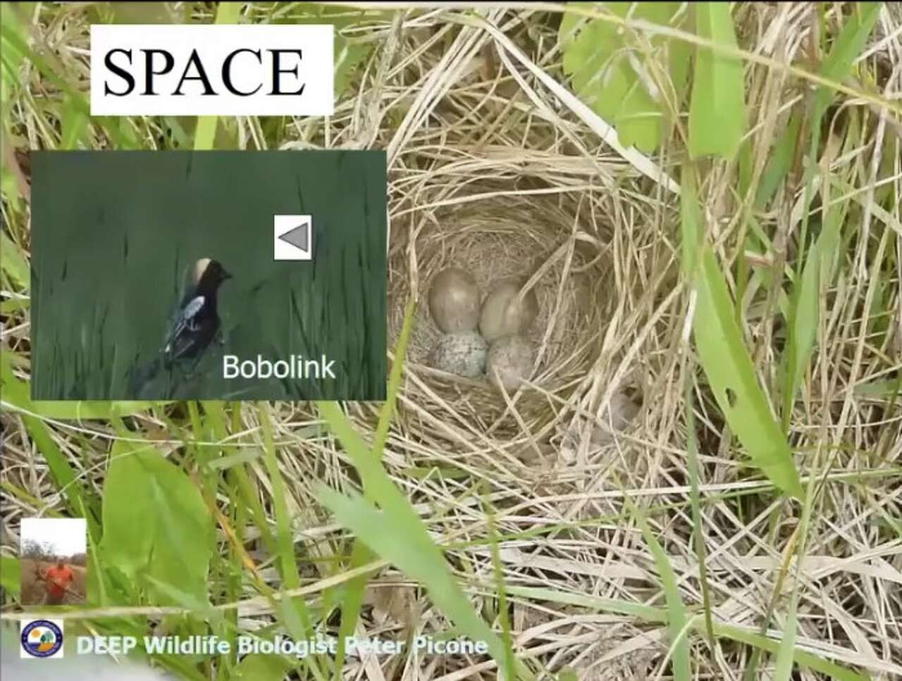 Front porch news from Wallingford, Meriden, Southington, Cheshire, and Plainville<br>