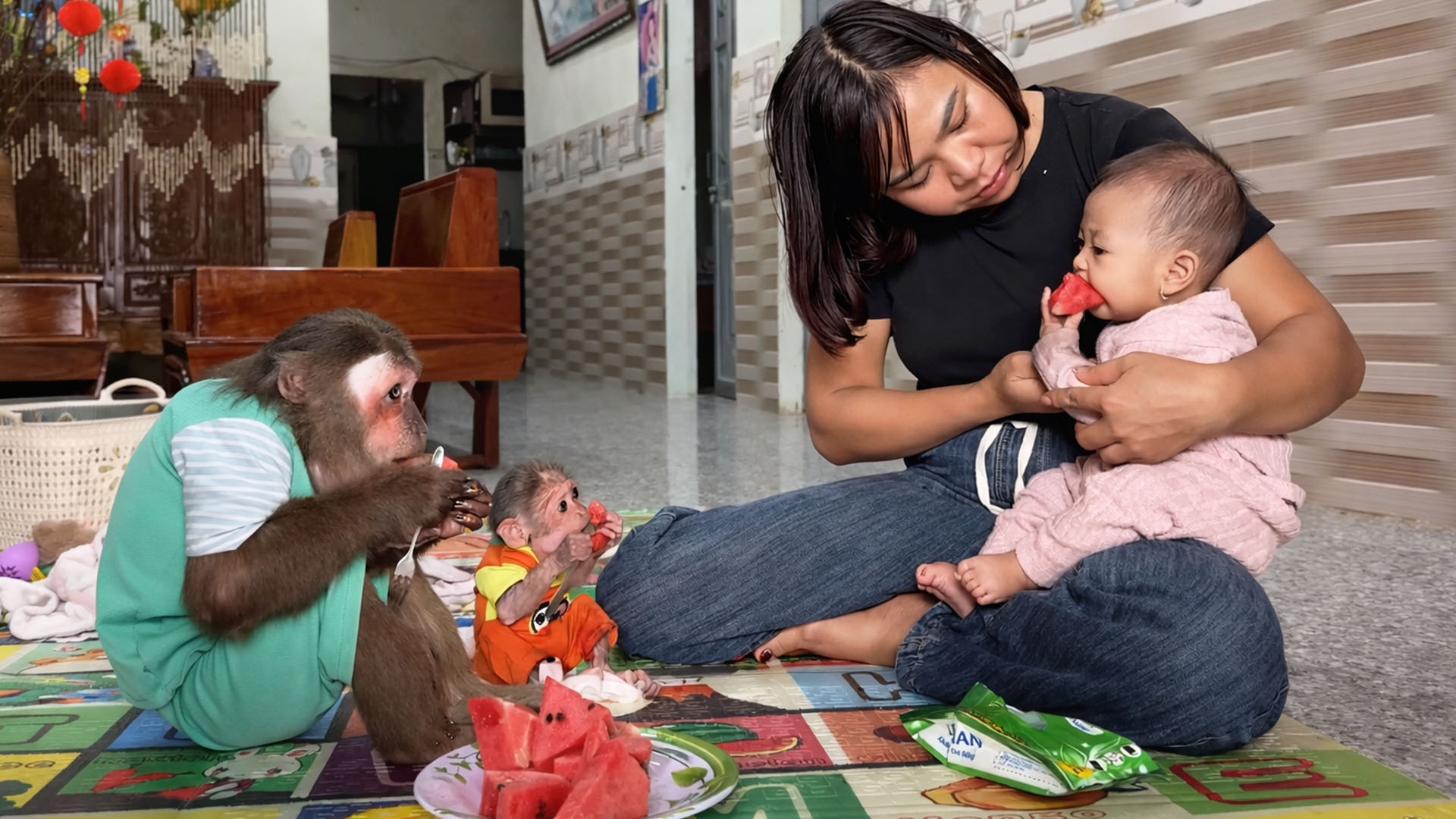 Cutis Wanted Watermelons More Than A Nap