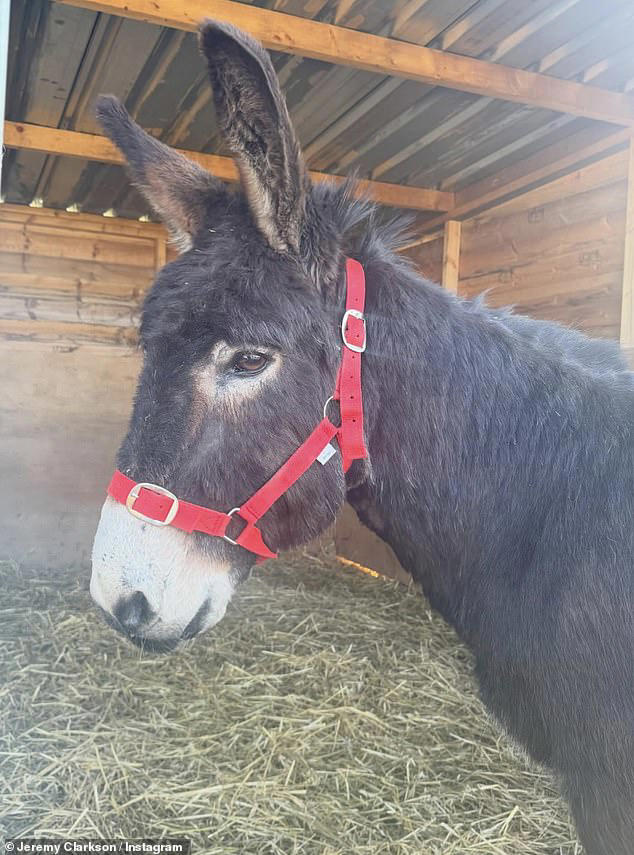 The former Top Gear host took to Instagram on Thursday to share a snap of new family member Ben, a donkey, telling fans to 'welcome him to Diddly Squat'