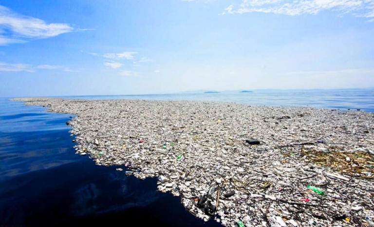 Once Earth’s filthiest waters, the Great Pacific Garbage Patch is now ...