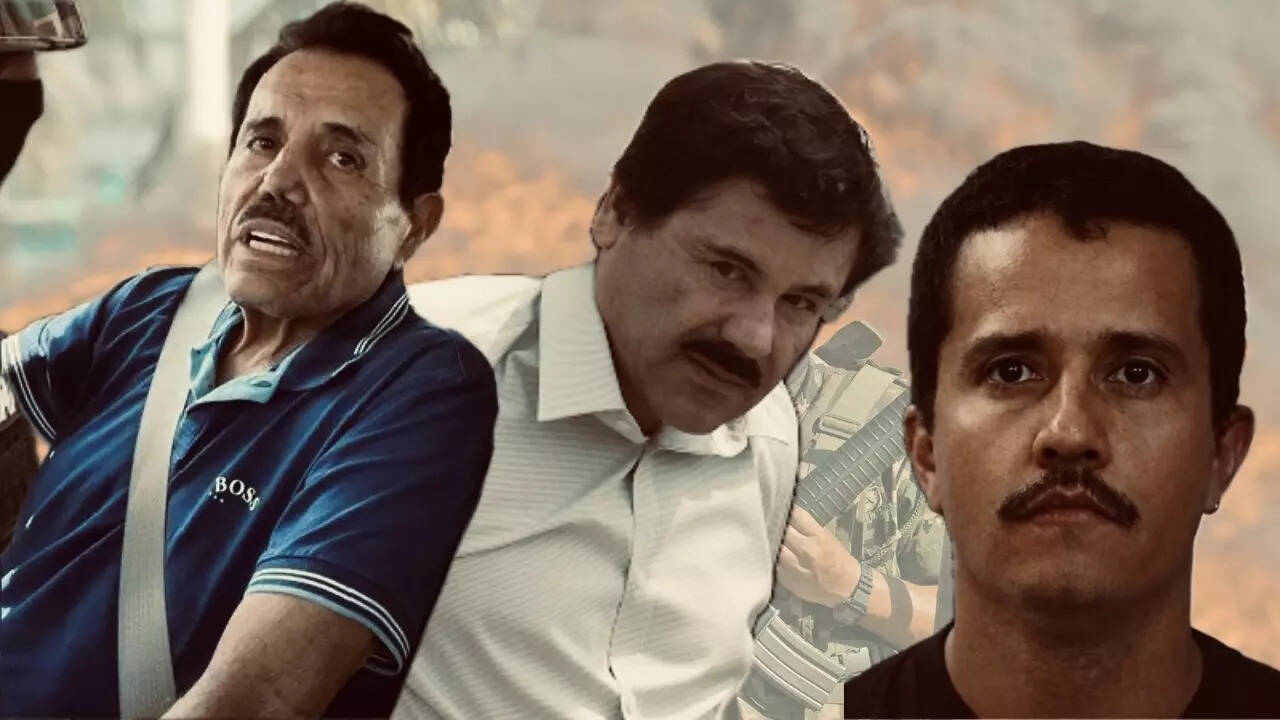 Inside the paradox of Mexico's never-ending war on drugs