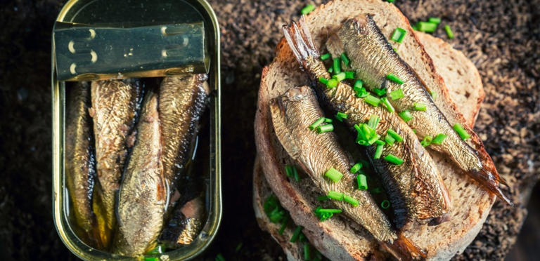 السردين المعلب