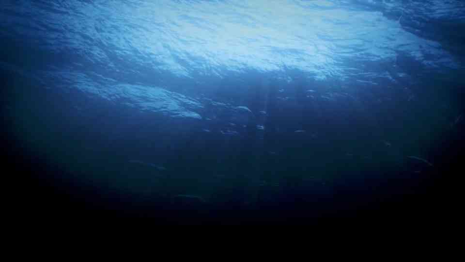 The most Earth-like worlds discovered beyond our solar system
