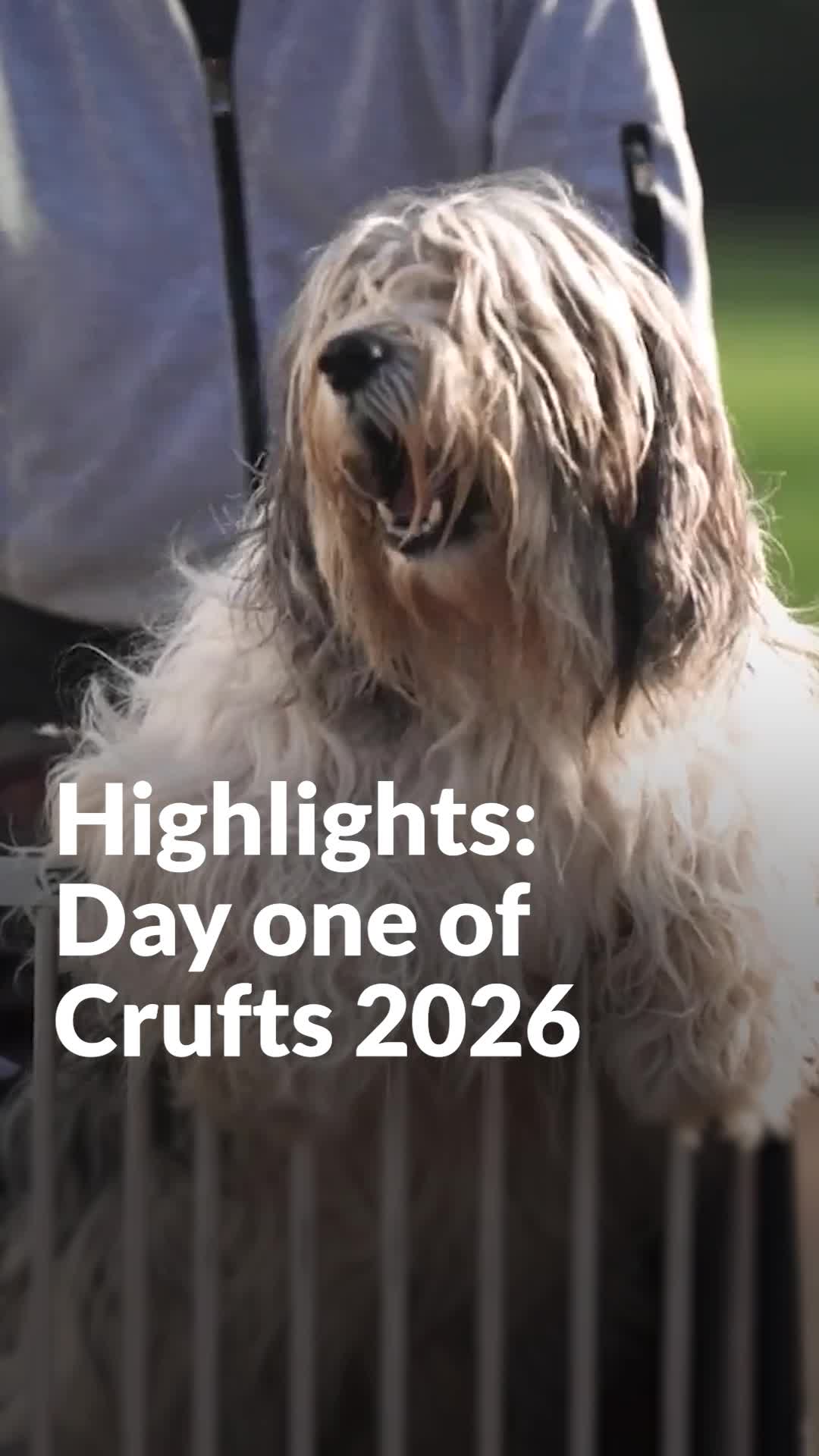 Highlights: Day one of Crufts 2026