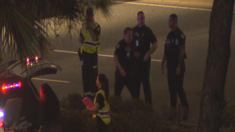 Pedestrian killed in traffic crash near Orlando International Airport