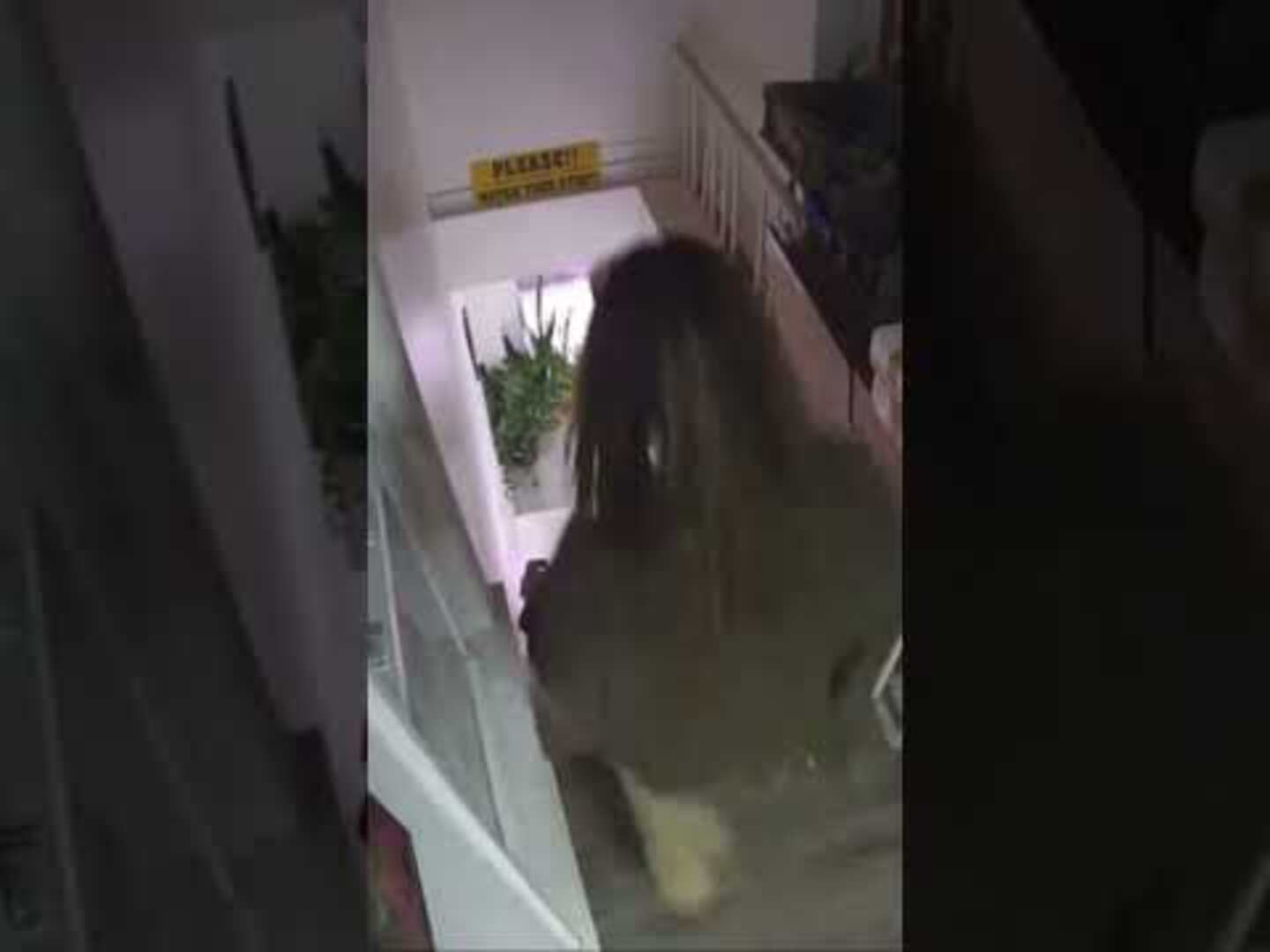 Woman slips and falls down stairs at plant shop