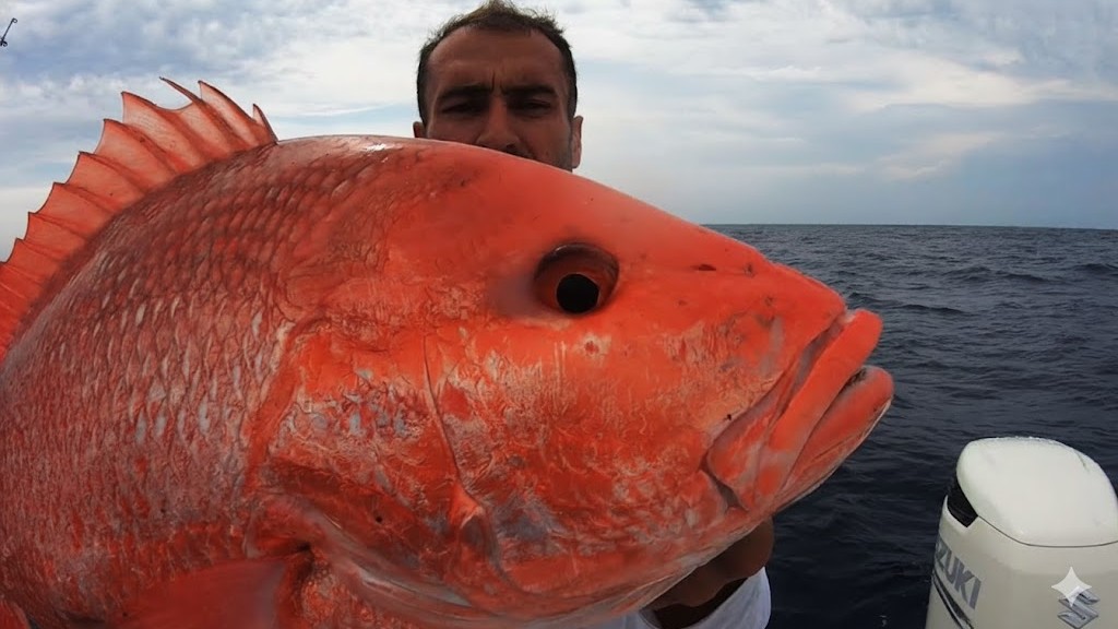 We hooked the most delicious fish but we could not legally keep it