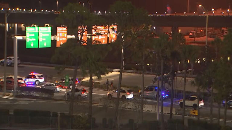 Pedestrian killed in traffic crash near Orlando International Airport