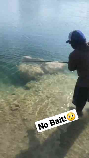 What happens when a fish hits an empty hook