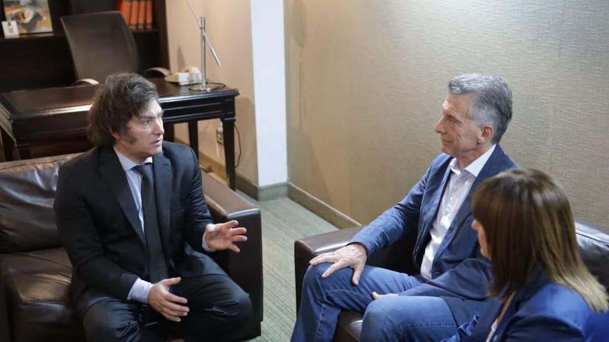 Milei ratificó que se retira de la política después de un eventual ...