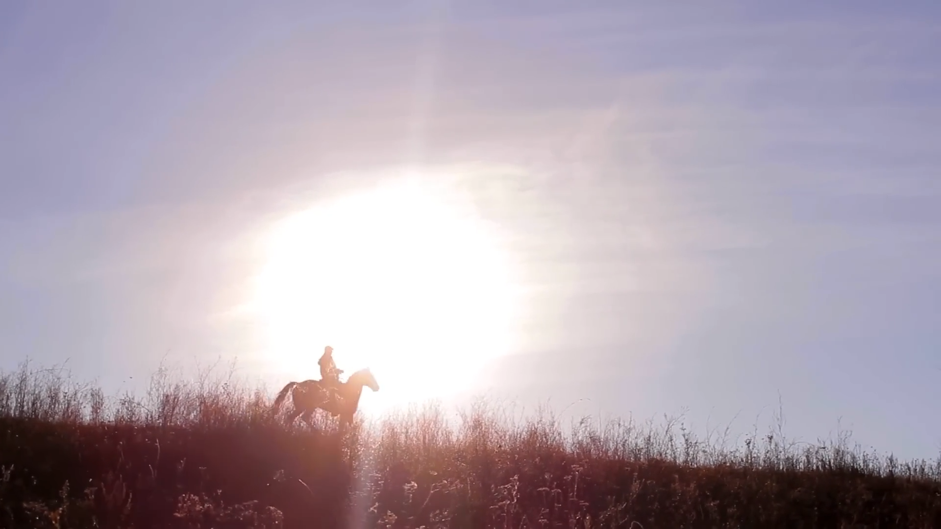 Bring him back… dead or alive - The jobs no one else would take