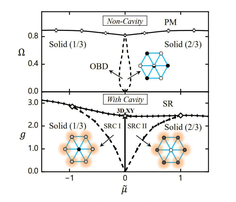 A superradiant clock phase emerges when Rydberg atoms meet quantum ...