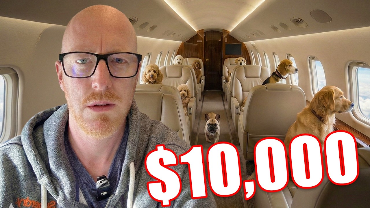 I flew on a $10,000 dog-only jet!