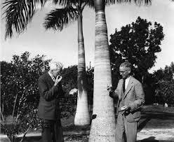 The Mejhoul date: Born in Morocco, dominated by Israel