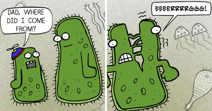 45 comics about science from a non-scientist