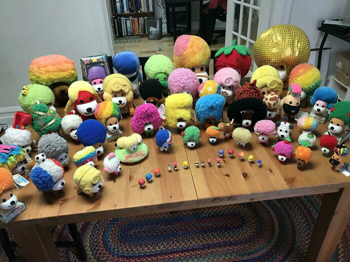 28 fascinating and funny collections shared online