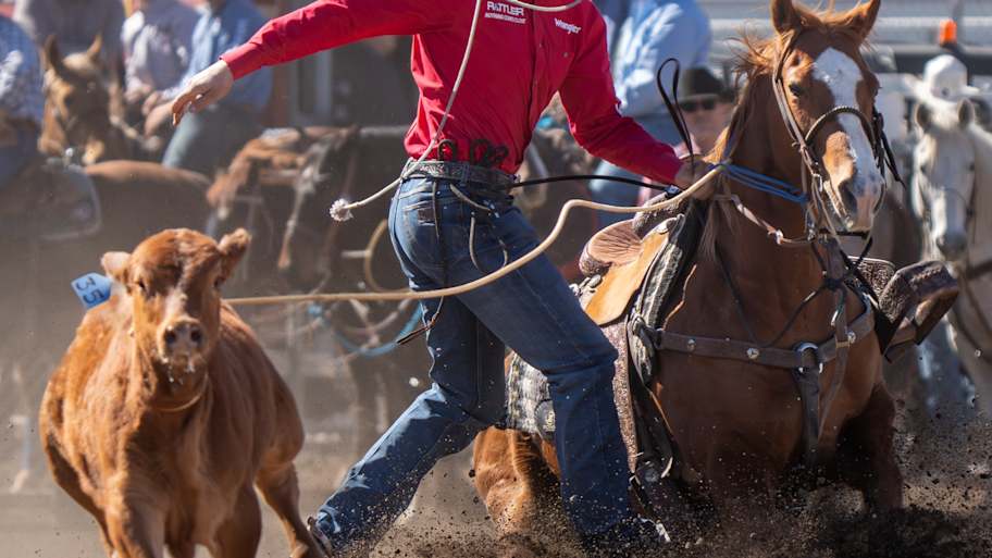 Top NFR stars cash in with major wins at Tucson Rodeo