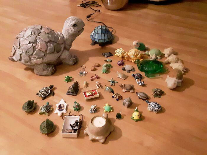 28 fascinating and funny collections shared online