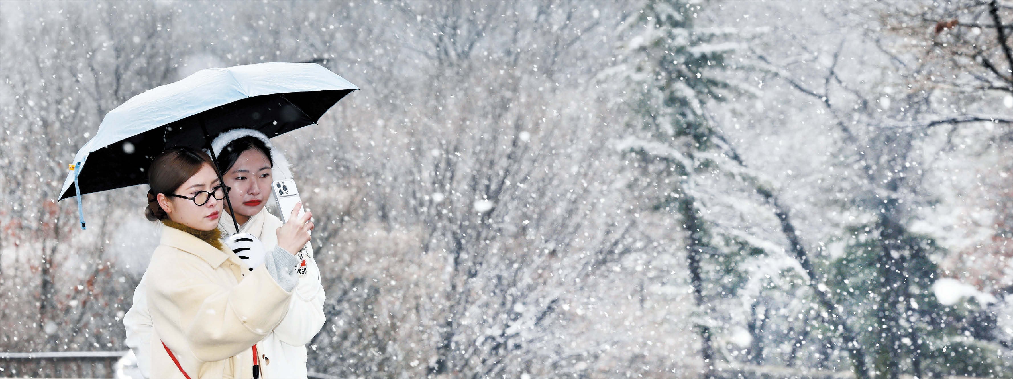 Spring cold wave brings morning lows as low as -8°C