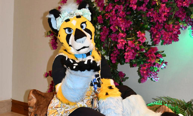 This is what LGBTQ+ furries want you to know about their often ...