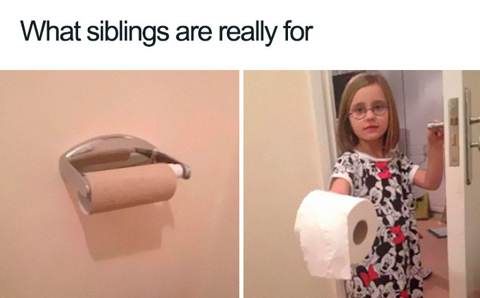 28 Of The Best Sibling Memes Ever