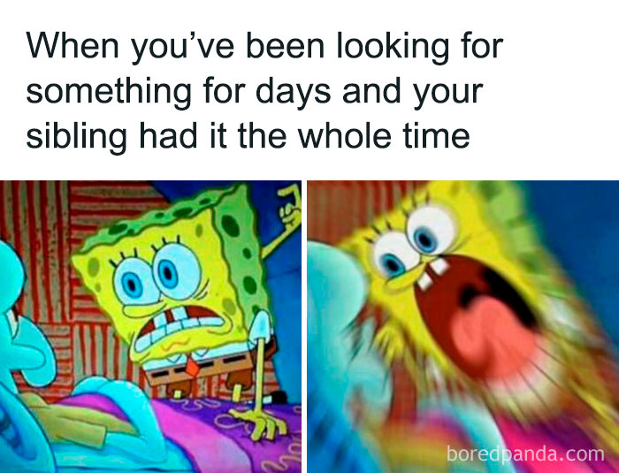 28 Of The Best Sibling Memes Ever