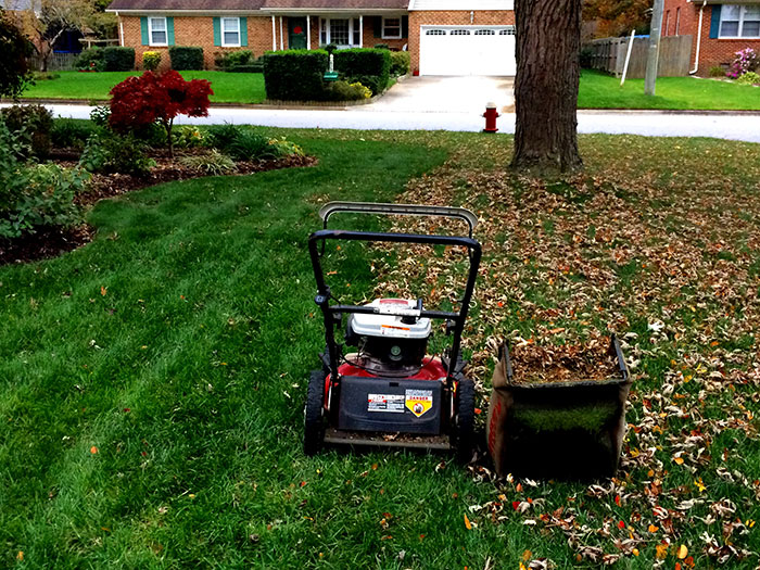 27 Of The Dumbest Things People Witnessed Geniuses Do