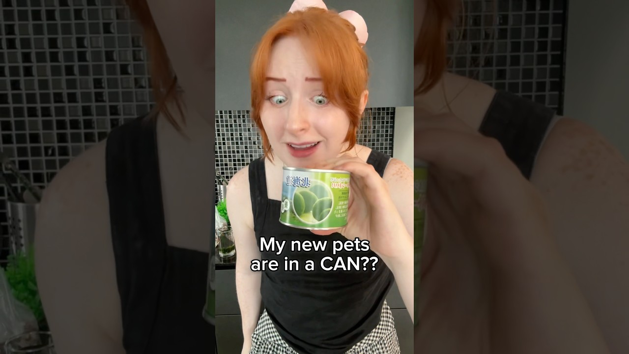 I found a unique pet in Japan! 🥫