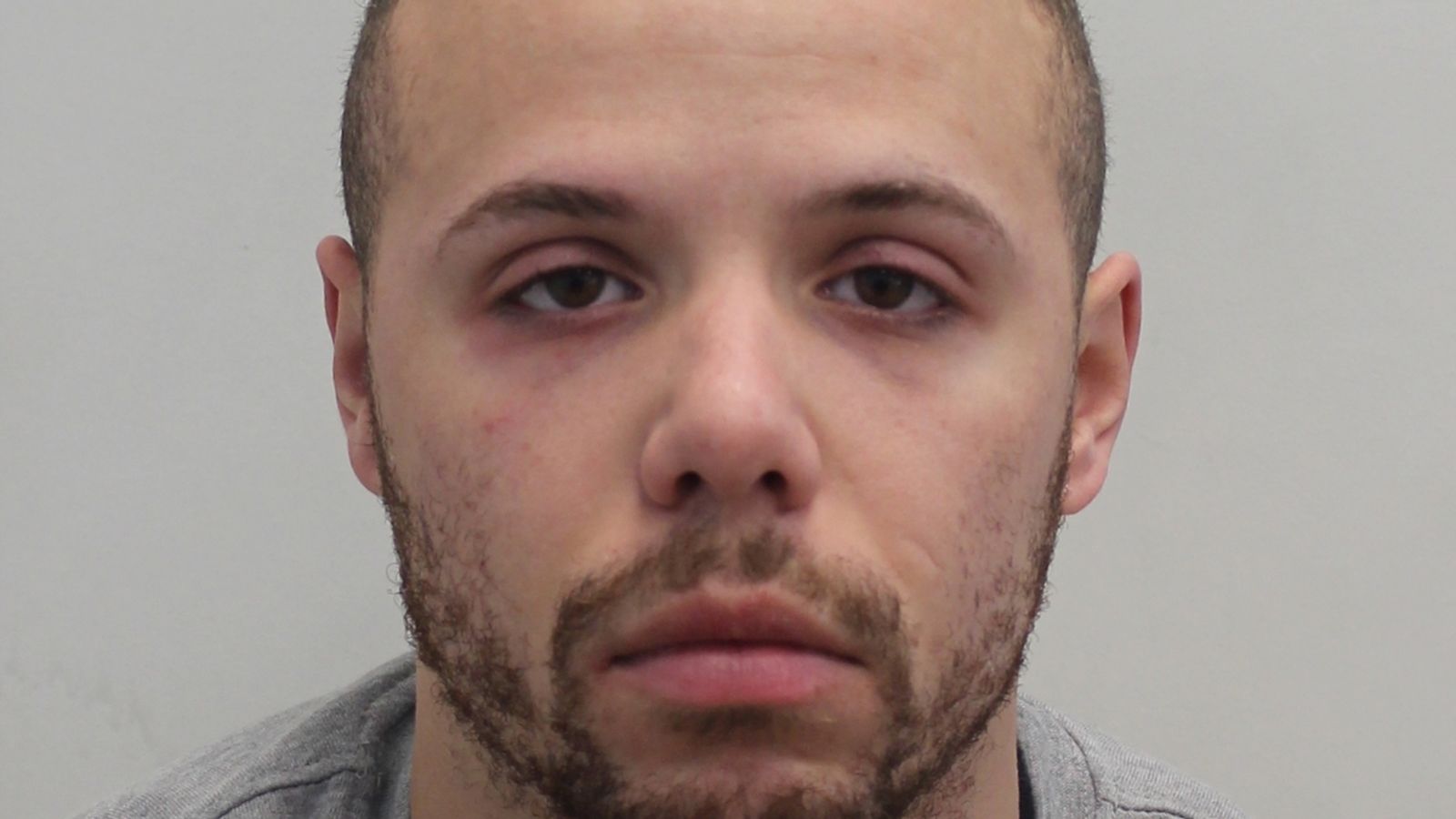 Van driver jailed after killing student