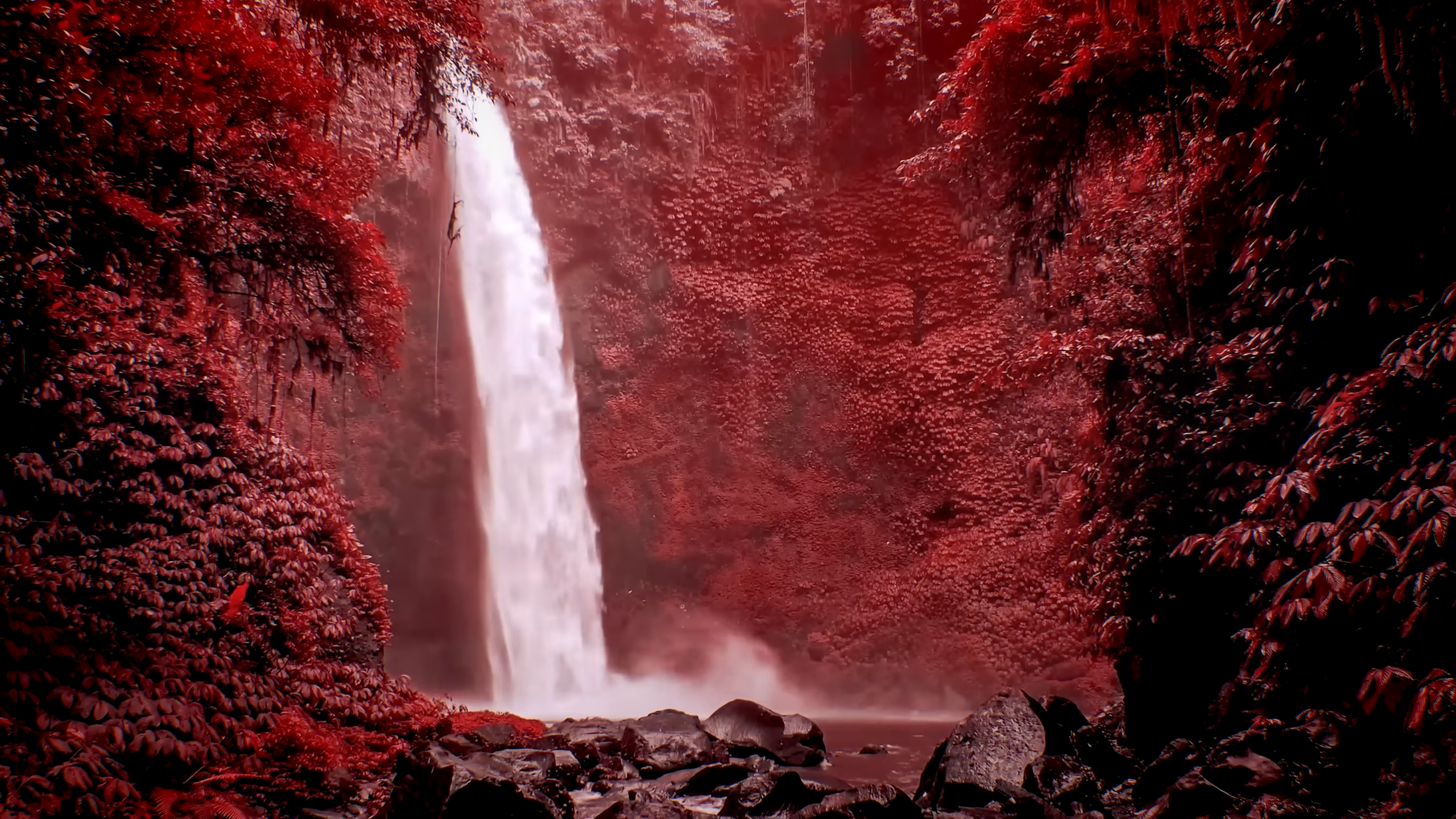 The science explaining why alien plants might not be green
