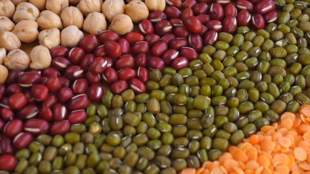 The high-protein Taki alternative