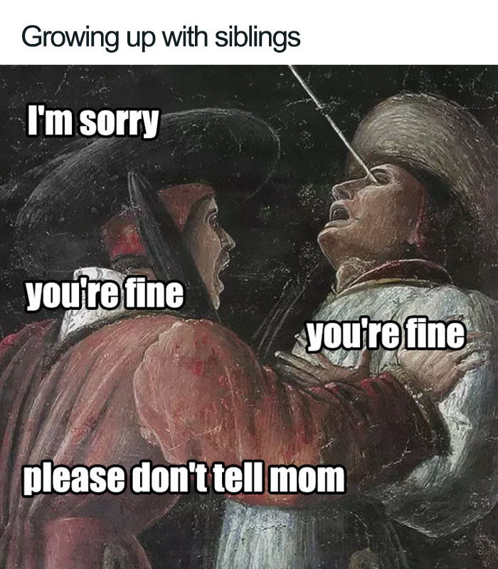 28 Of The Best Sibling Memes Ever
