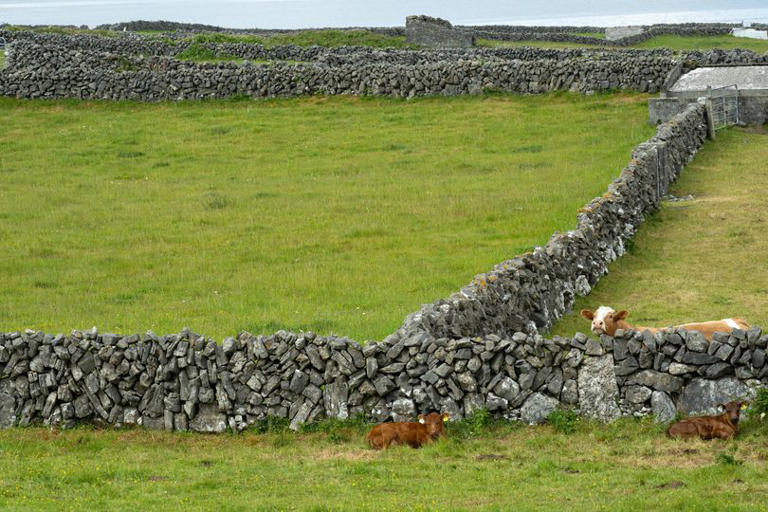 Remote island with a culture of its own and original language is like ...