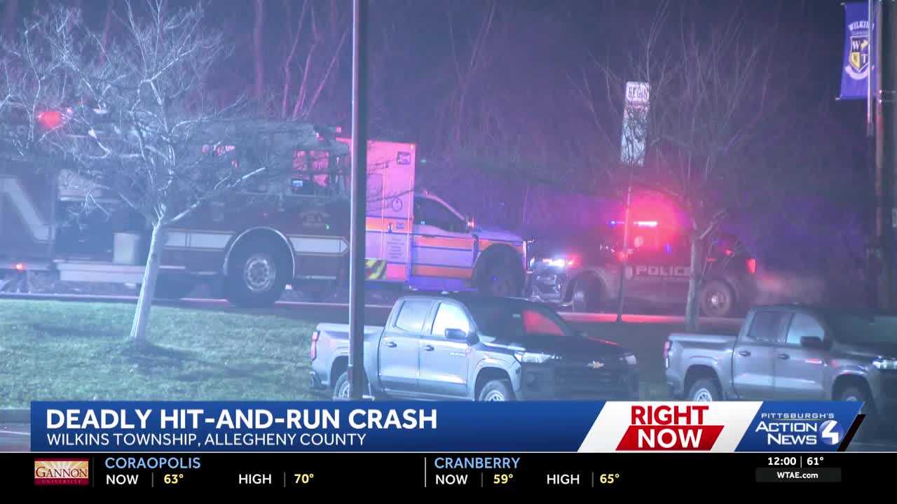 Hit-and-run investigation underway on William Penn Highway in Wilkins ...