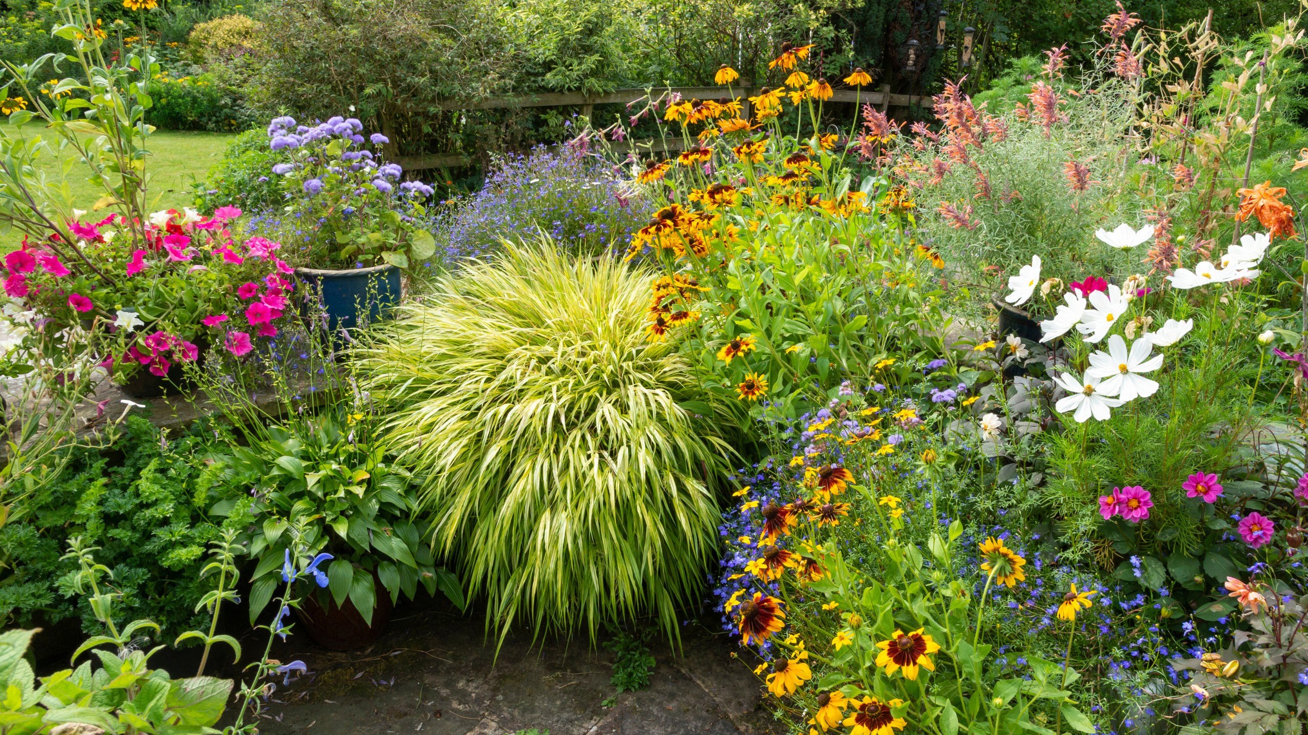 The ROI of a show-stopping garden: 5 blooms to plant in March to ...