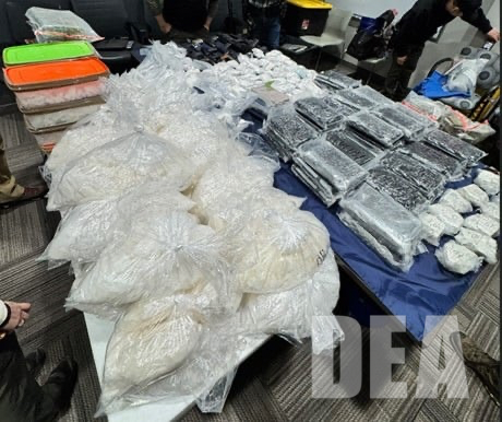 Record-breaking drug bust in Tri-Cities yields over 300 pounds of ...