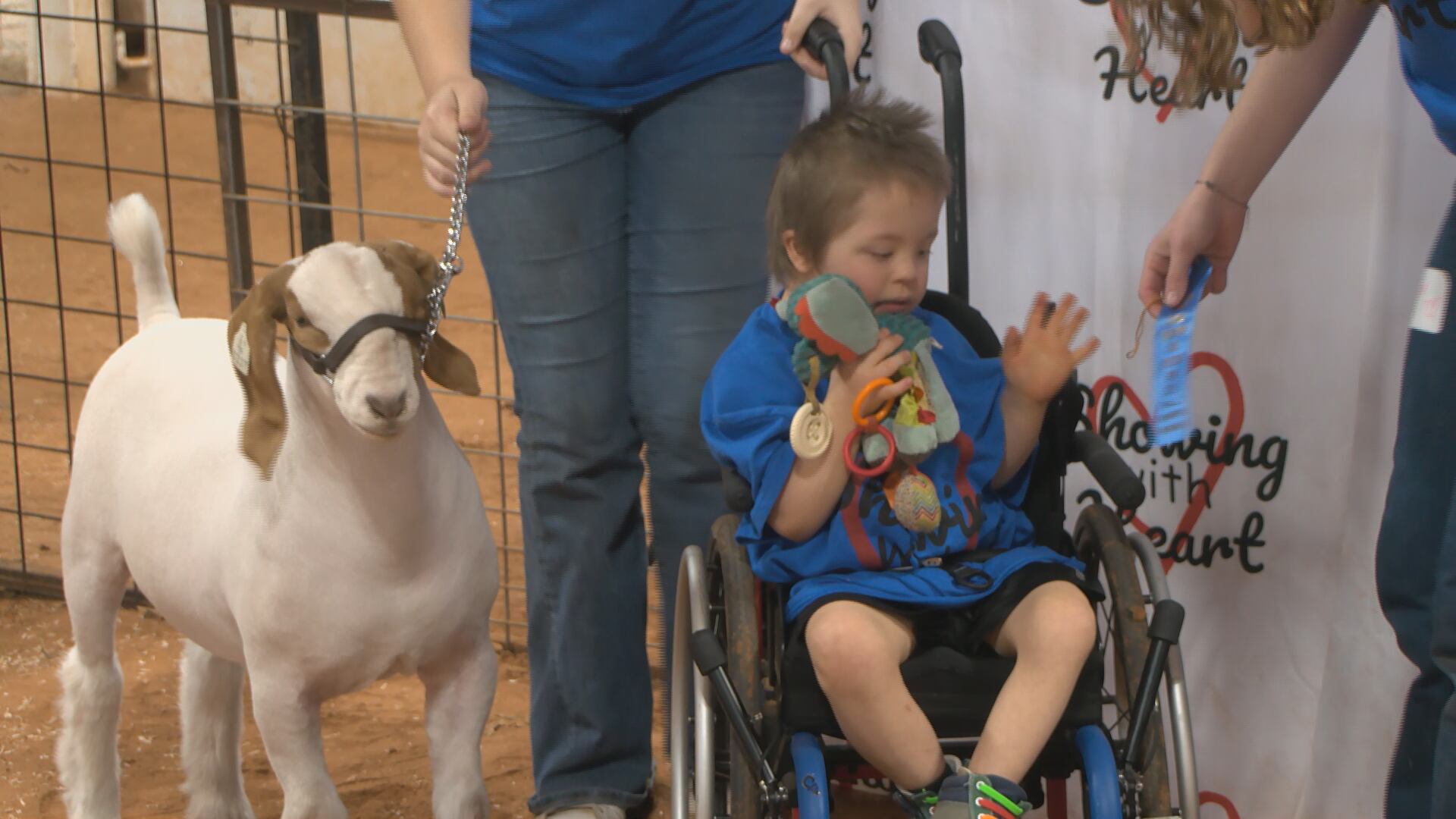 Showing with heart: 200+ children with disabilities show animals at ...