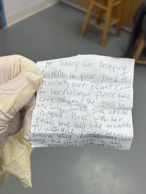 Family finds a trembling dog in their yard and a note that changes ...