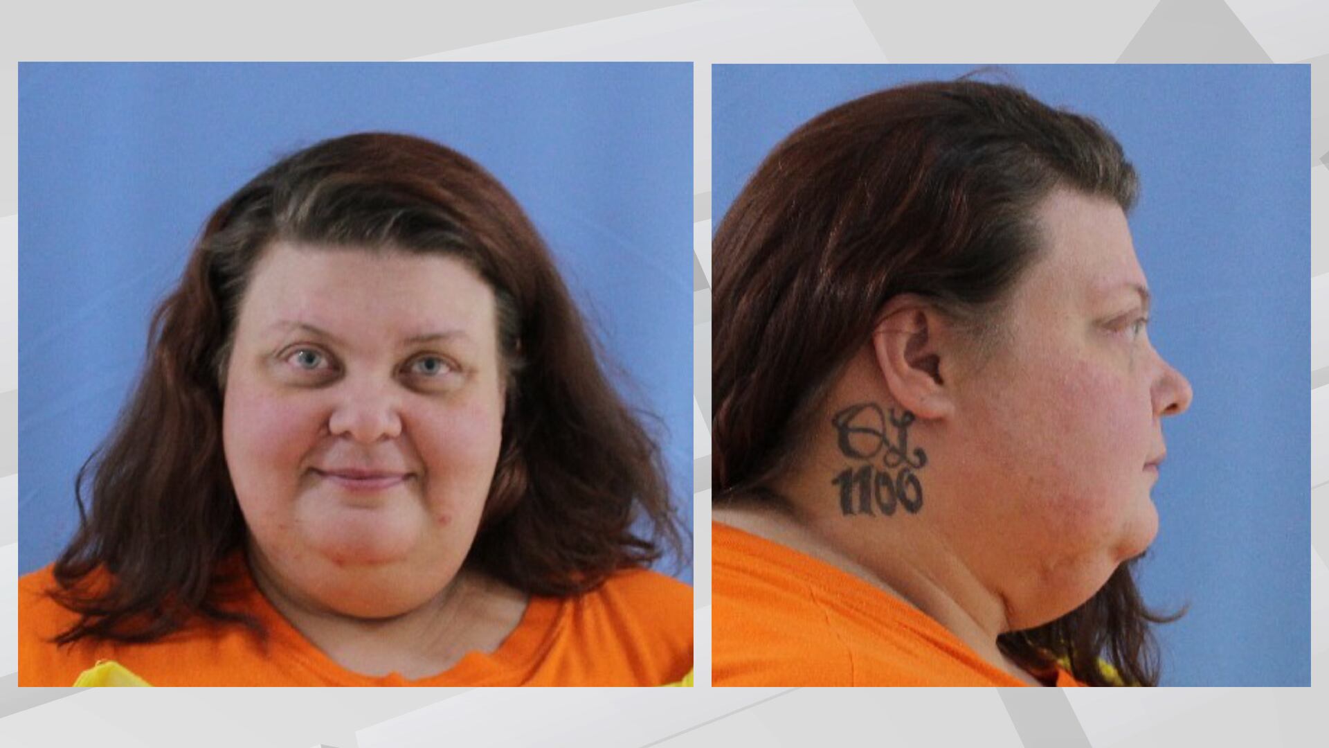 Belvidere man, Shannon woman accused of human trafficking