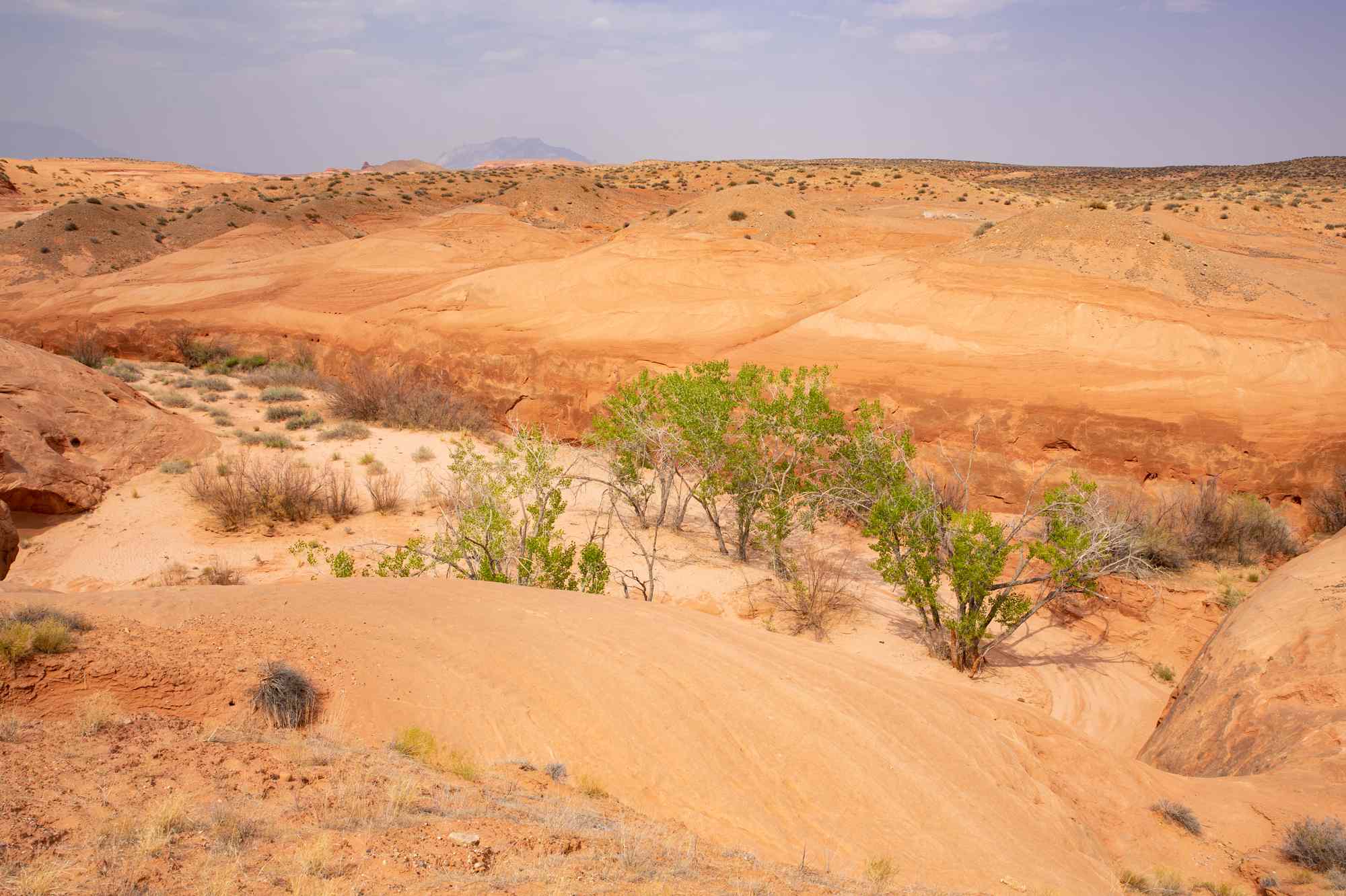 Quicksand warning issued by National Park Service for popular tourist ...