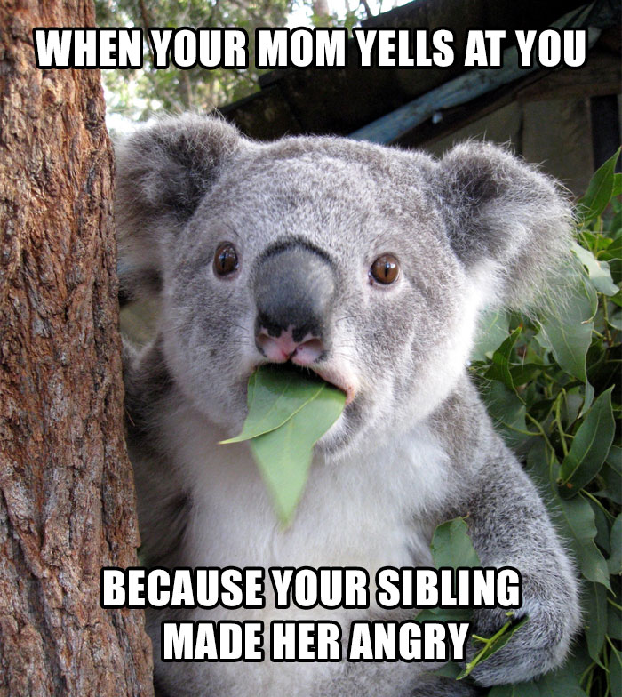 28 Of The Best Sibling Memes Ever