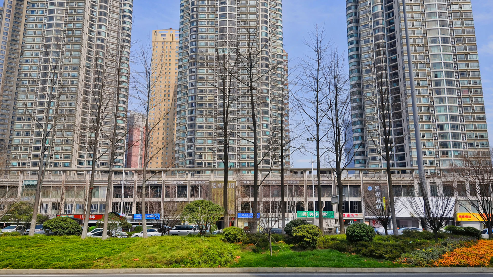 Seasonal Changes Leave Trees Without Leaves China