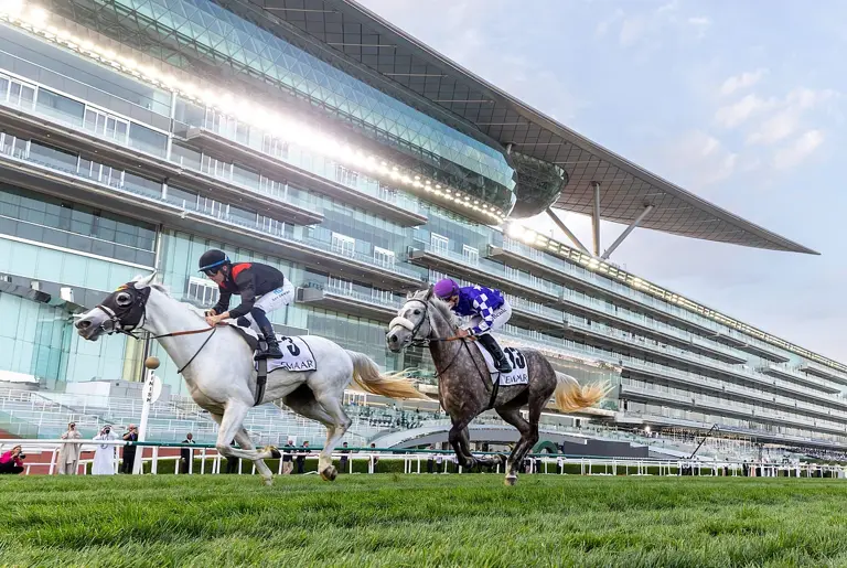 Dubai Racing Carnival showcases top jockeys, trainers ahead of Dubai ...