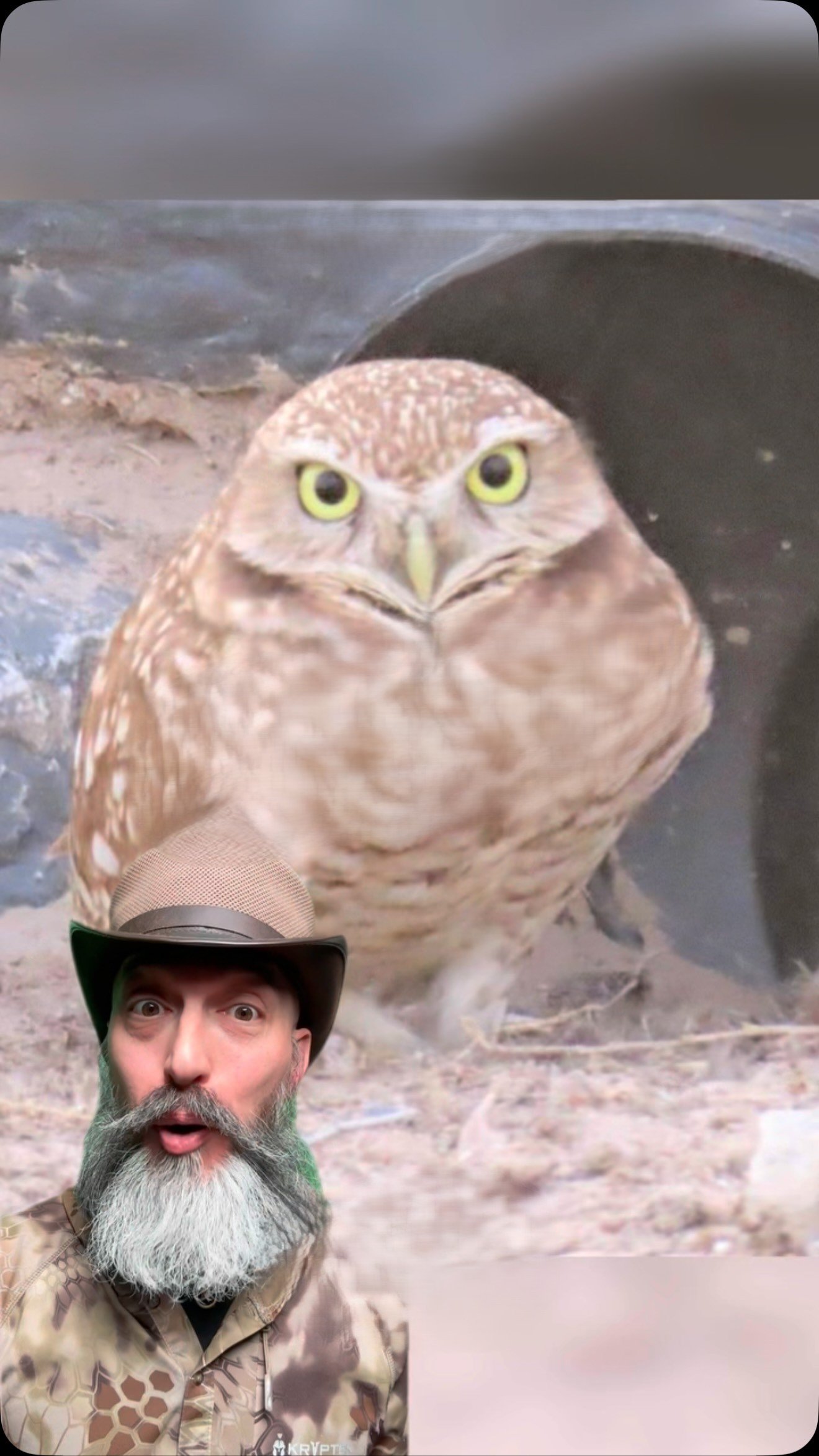 We set out to help some local burrowing owls!