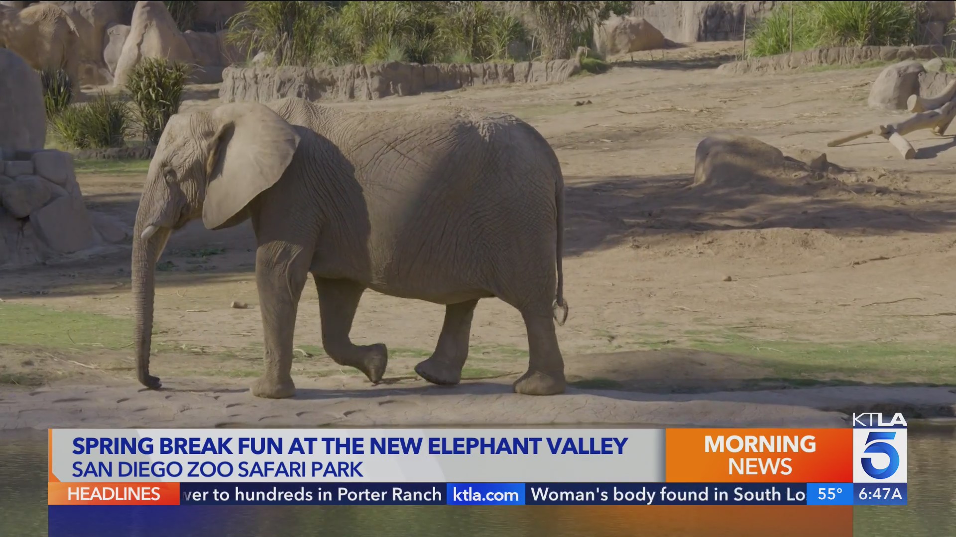 Spring Break Fun at the New Elephant Valley