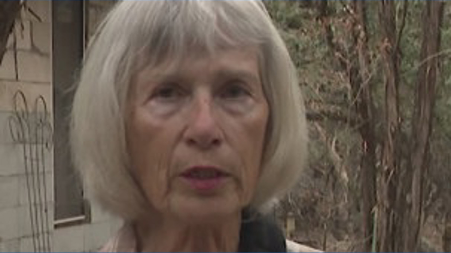 Texas woman attacked by rabid fox amid Hays County rabies outbreak