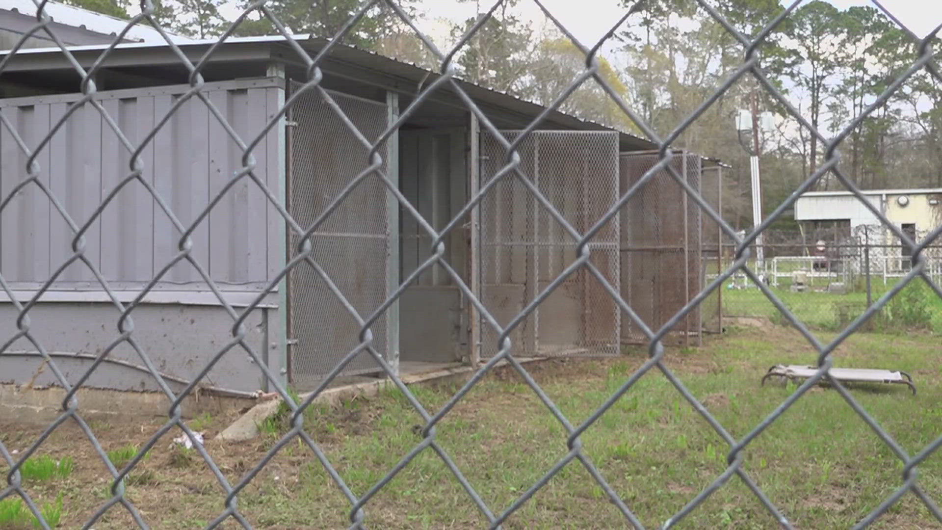Silsbee animal control officer being processed into jail as ...