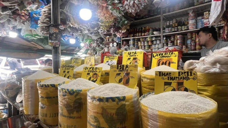 Carbon rice prices climb P5–P7/kilo; city sees no MidEast link