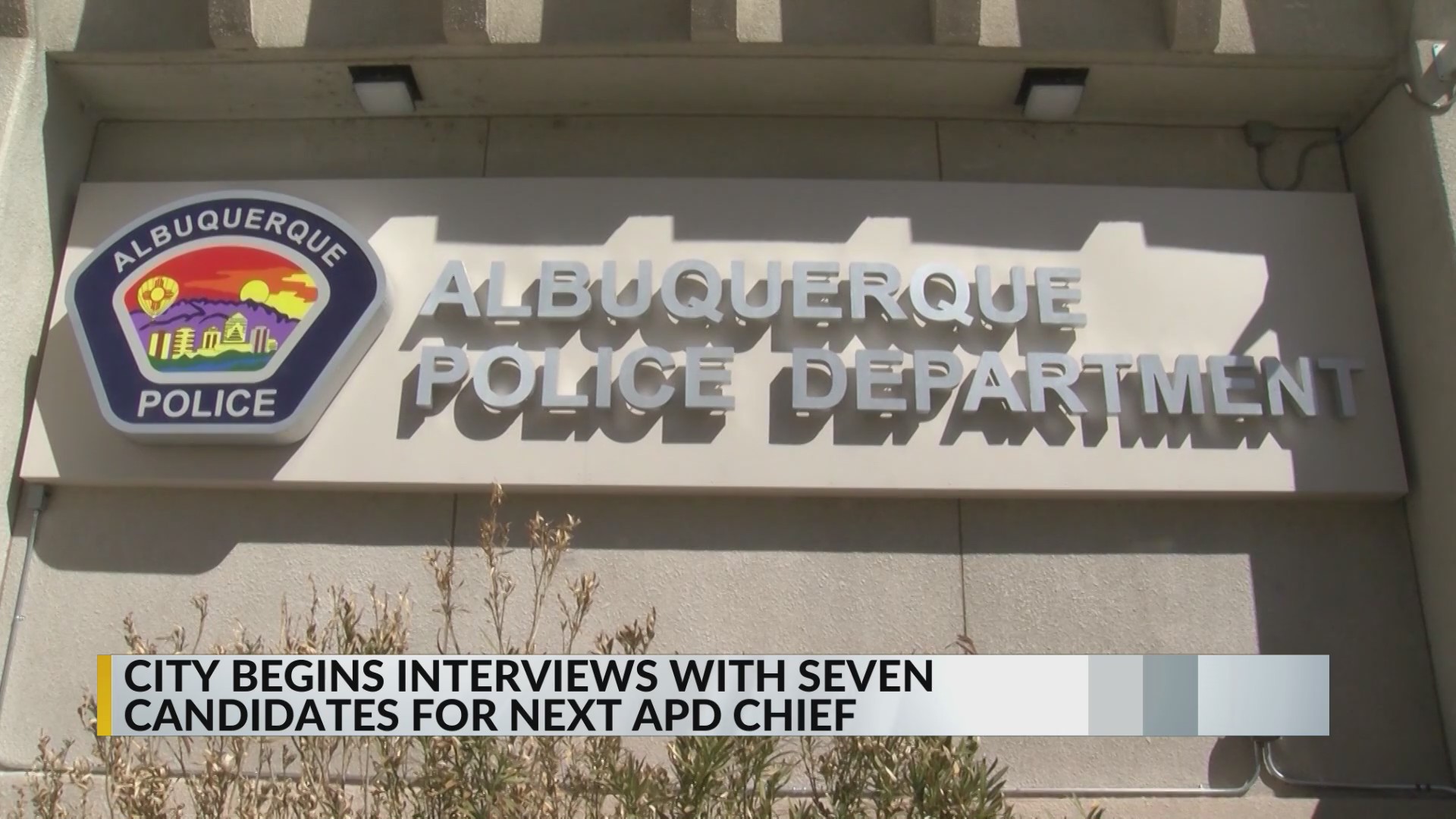 City begins interviews with 7 candidates for next Albuquerque police chief